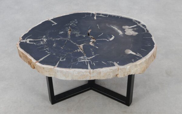 Coffee table petrified wood 52287