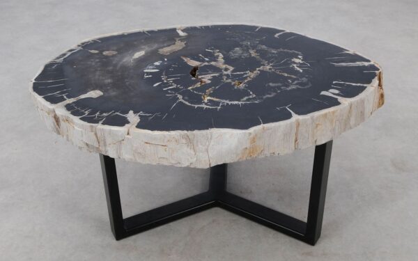 Coffee table petrified wood 52288