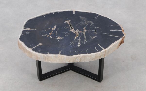 Coffee table petrified wood 52290