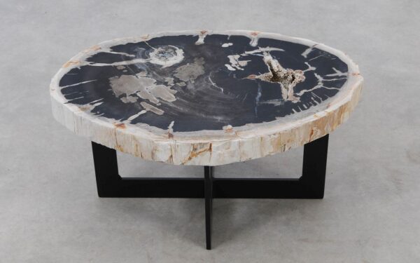 Coffee table petrified wood 52292