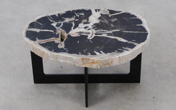 Coffee table petrified wood 52293
