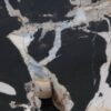 Coffee table petrified wood 52293
