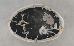 Coffee table petrified wood 52294