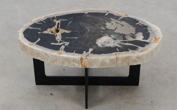 Coffee table petrified wood 52294