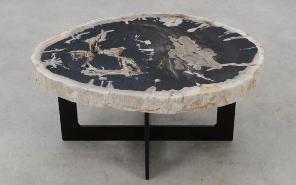 Coffee table petrified wood 52295