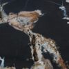 Coffee table petrified wood 52295