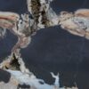 Coffee table petrified wood 52295