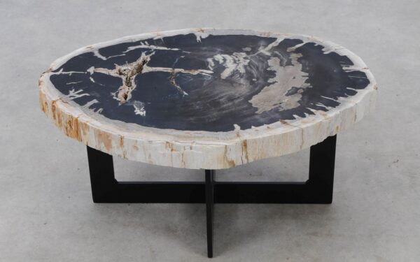 Coffee table petrified wood 52297