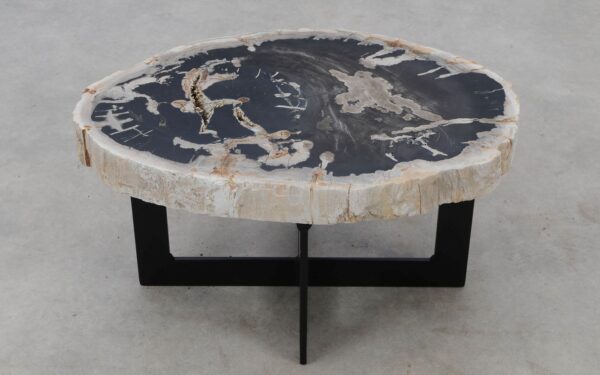 Coffee table petrified wood 52298