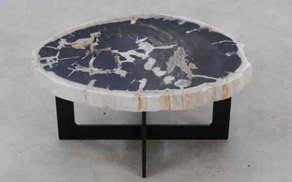 Coffee table petrified wood 52299