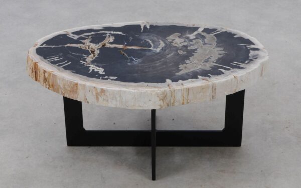 Coffee table petrified wood 52300