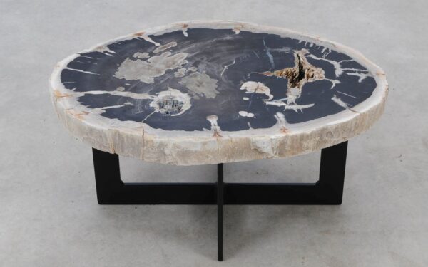 Coffee table petrified wood 52301