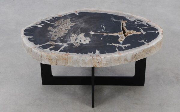 Coffee table petrified wood 52303