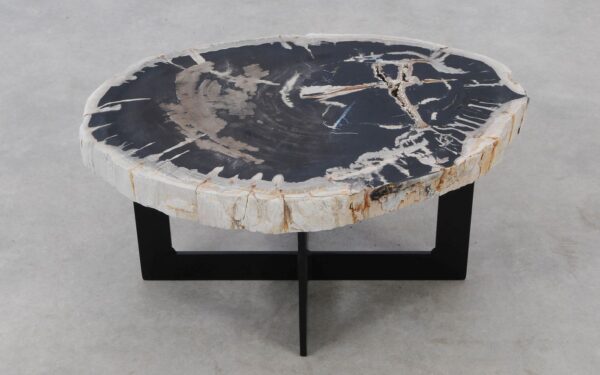 Coffee table petrified wood 52303