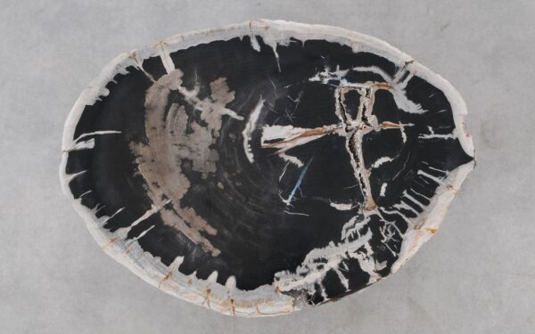 Coffee table petrified wood 52303