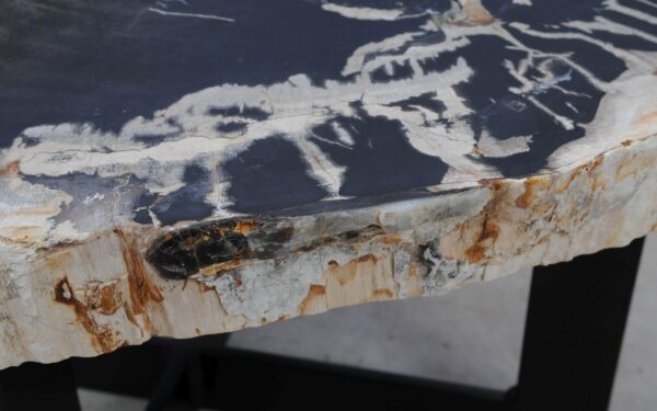 Coffee table petrified wood 52303