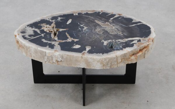 Coffee table petrified wood 52304