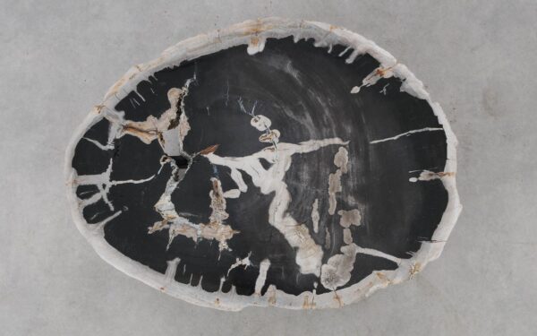 Coffee table petrified wood 52305