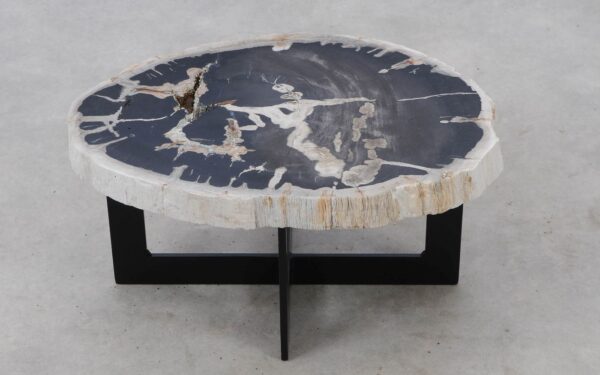 Coffee table petrified wood 52305