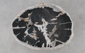 Coffee table petrified wood 52306