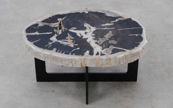 Coffee table petrified wood 52306