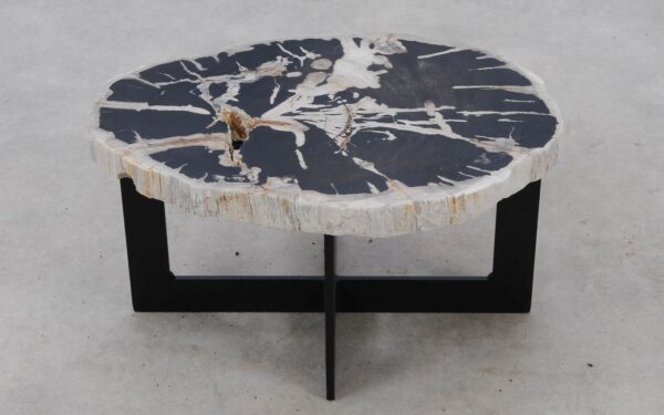 Coffee table petrified wood 52307