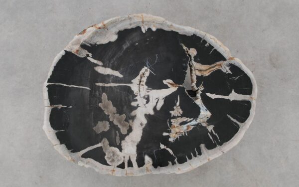 Coffee table petrified wood 52308