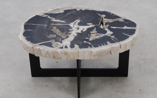 Coffee table petrified wood 52308