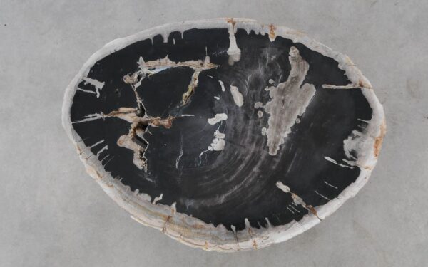 Coffee table petrified wood 52309