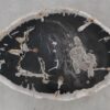Coffee table petrified wood 52310