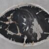 Coffee table petrified wood 52311