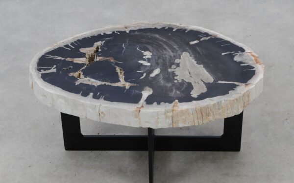 Coffee table petrified wood 52311