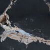 Coffee table petrified wood 52311