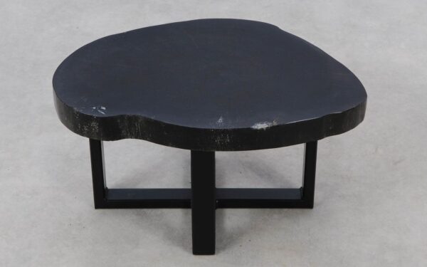Coffee table petrified wood 52414