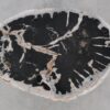 Coffee table petrified wood 52415