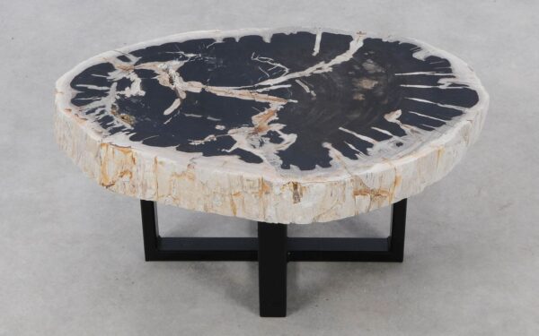 Coffee table petrified wood 52415