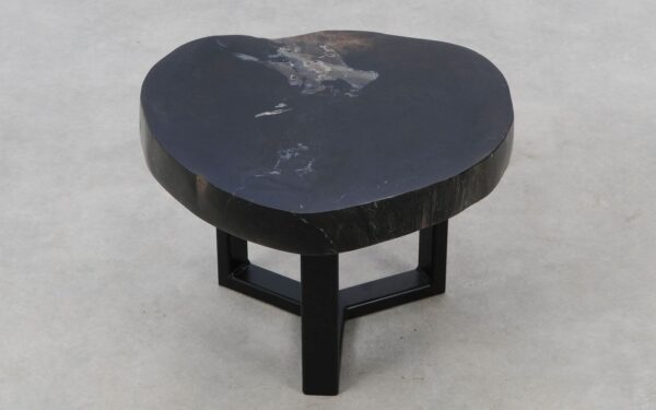 Coffee table petrified wood 52416