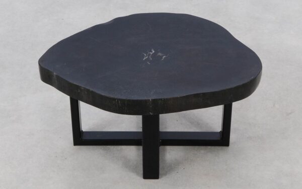 Coffee table petrified wood 52417