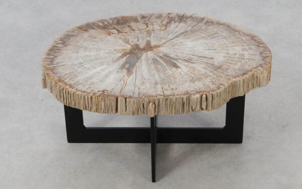 Coffee table petrified wood 52419