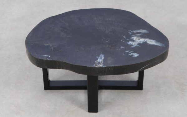 Coffee table petrified wood 52421