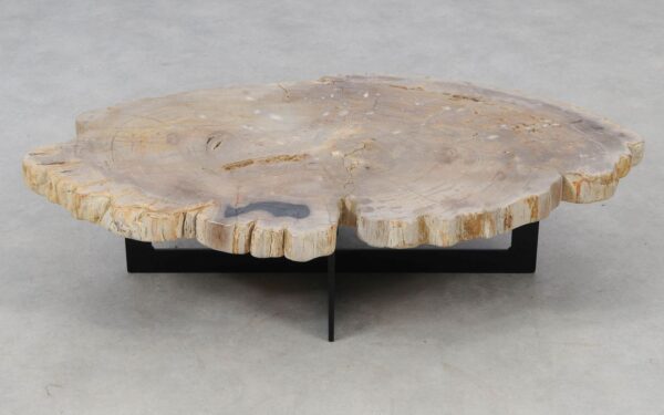 Coffee table petrified wood 52423