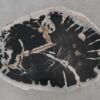 Coffee table petrified wood 52424
