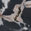 Coffee table petrified wood 52424