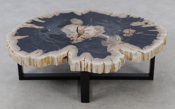 Coffee table petrified wood 52425