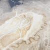 Couchtisch versteinertes Holz 51213
