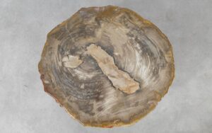 Couchtisch versteinertes Holz 51227