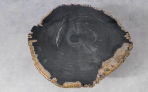 Couchtisch versteinertes Holz 51230