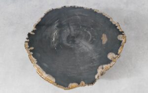 Couchtisch versteinertes Holz 51232