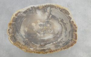 Couchtisch versteinertes Holz 51237