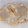 Couchtisch versteinertes Holz 51258